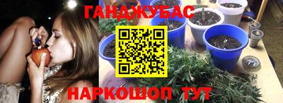 дурь Можга