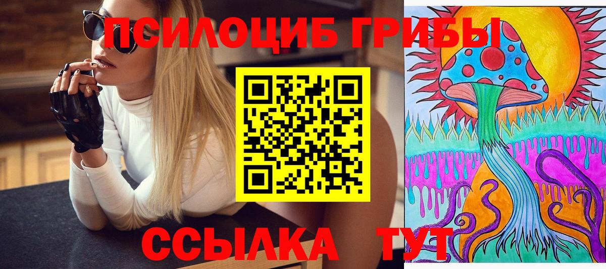 Галлюциногенные грибы мицелий  Вход с VPN  Сибай  где купить наркоту  Галлюциногенные грибы Psilocybine cubensis 