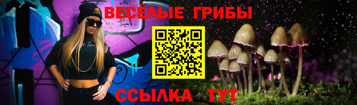 Псилоцибиновые грибы GOLDEN TEACHER Сибай